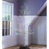 Unidentified Plant Variety * | Plow & Hearth Large 7'H Indoor/Outdoor Birch Tree With 280 Warm White And Multicolor Lights