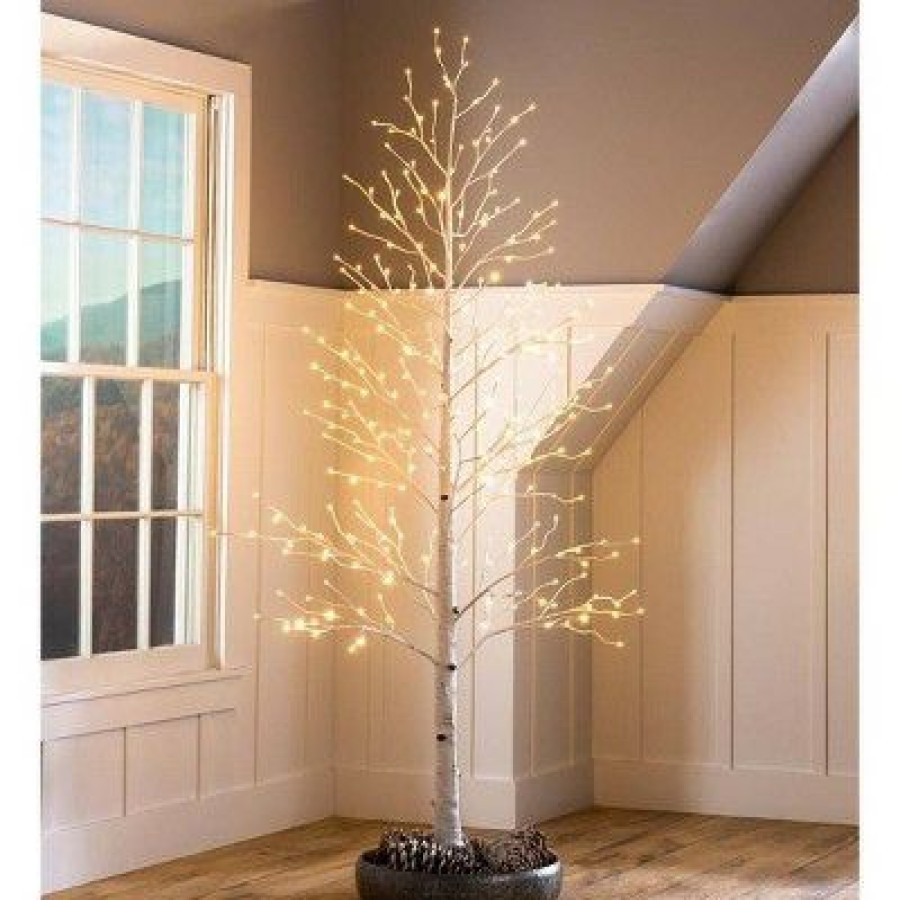 Unidentified Plant Variety * | Plow & Hearth Large 7'H Indoor/Outdoor Birch Tree With 280 Warm White And Multicolor Lights