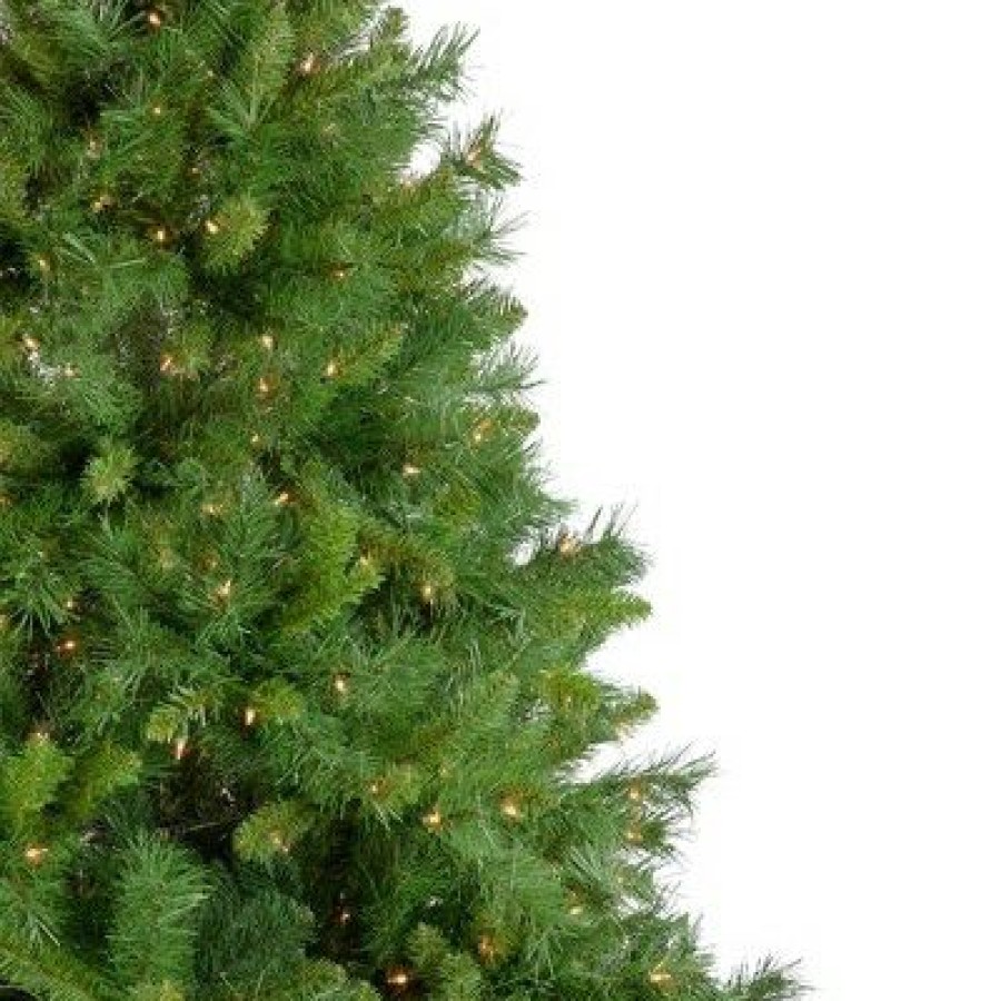 Pine * | Northlight 6.5 Pre-Lit Chatham Pine Artificial Christmas Tree, Clear Lights