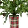 Pine * | Northlight 24 Iced Cedar Artificial Christmas Tree In Plaid Pot Unlit