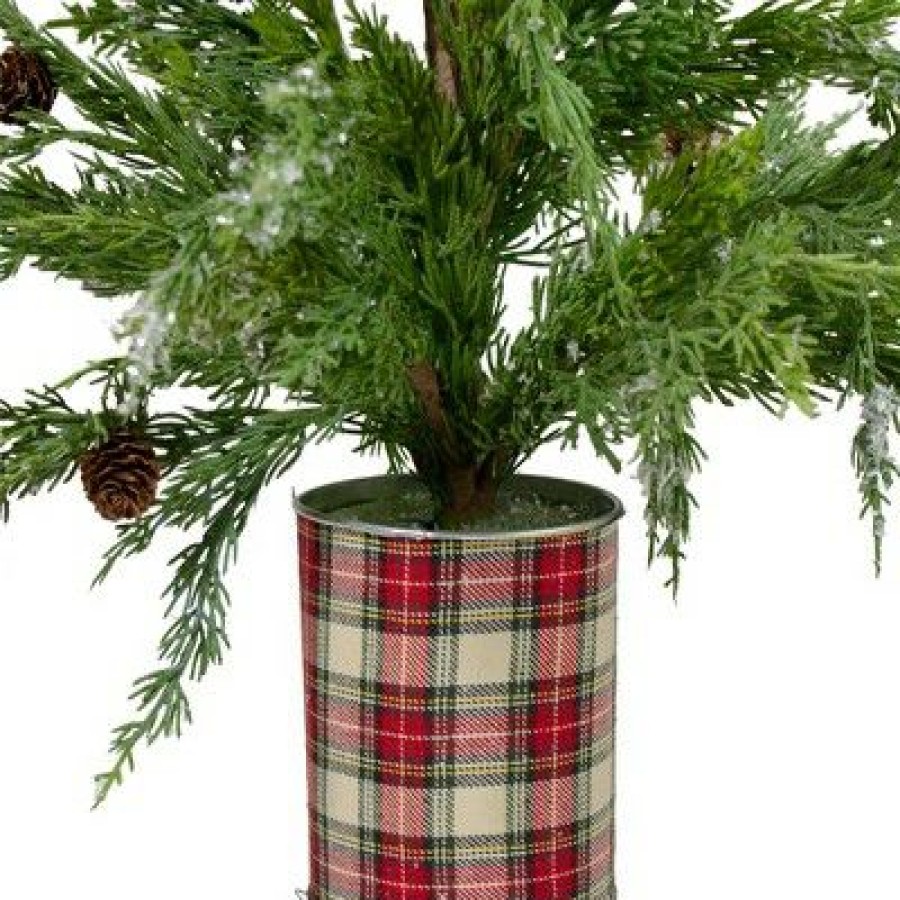 Pine * | Northlight 24 Iced Cedar Artificial Christmas Tree In Plaid Pot Unlit