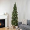 Pine * | Northlight 7 Pre-Lit Yorkshire Pine Pencil Artificial Christmas Tree, Clear Lights