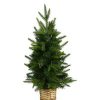 Pine * | Nearly Natural 24" Pre-Lit Led Artificial Christmas Tree In Decorative Basket White Lights