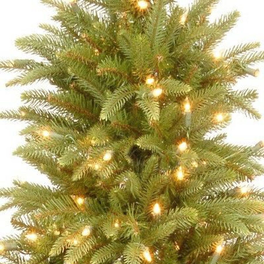 Spruce * | National Tree Company 4 Ft. Weeping Spruce Tree With Clear Lights