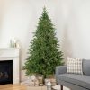 Fir Wood * | Northlight 7.5 Pre-Lit Birch River Fir Artificial Christmas Tree, Candlelight Clear Lights