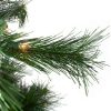 Pine * | Northlight 5 Prelit Artificial Christmas Tree Canyon Pine Clear Lights