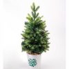 Unidentified Plant Variety * | Plow & Hearth Lighted Tabletop Christmas Tree In White Bucket With Holly Design