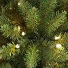 Fir Wood * | Primo International Puleo International 6.5 Foot Prelit Fraser Fir Artificial Pencil Christmas Tree With 500 Ul Listed Clear Lights, 1775 Branch Tips & Metal Stand, Green