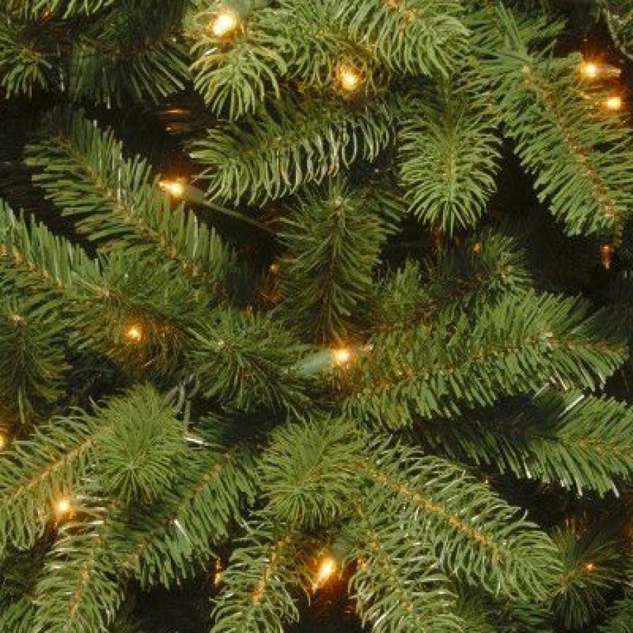 Spruce * | National Tree Company 5 Ft. Newberry Spruce Tree With Dual Color Led Lights