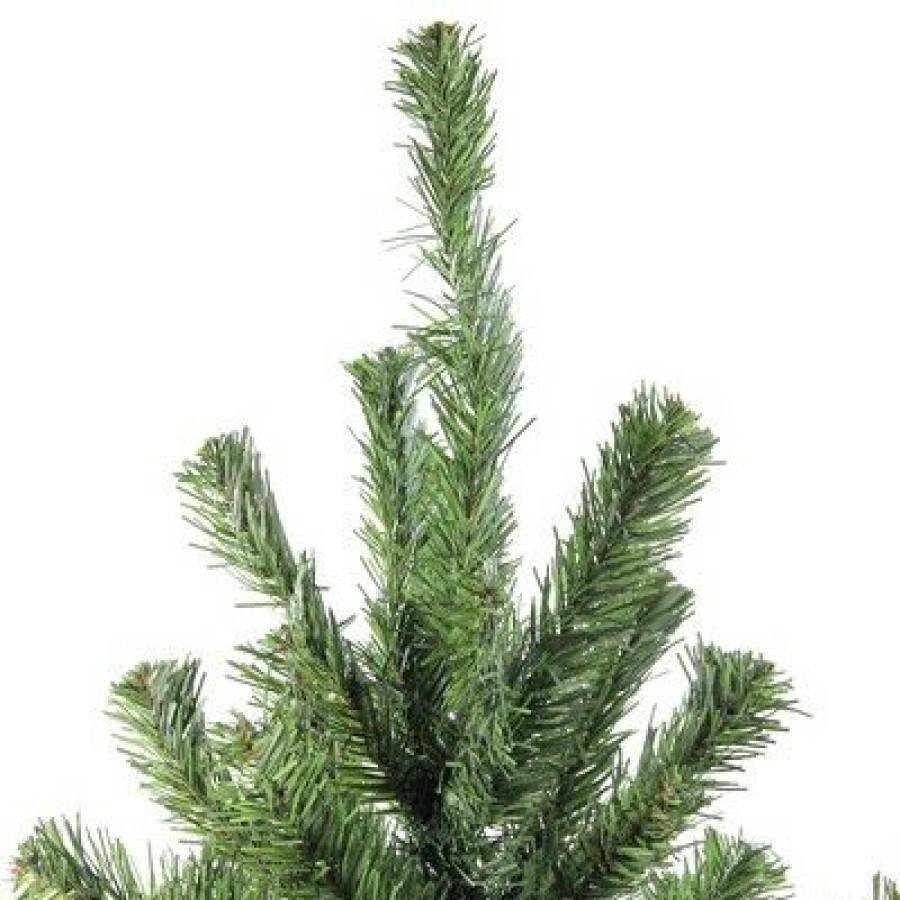 Pine * | Northlight 5 Canadian Pine Medium Artificial Christmas Tree Unlit