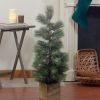 Pine * | Northlight 3 Snowy Pine Artificial Christmas Tree In Wooden Pot Unlit