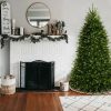 Fir Wood * | National Tree Company 6.5Ft National Christmas Tree Company Pre-Lit Dunhill Blue Fir Hinged Artificial Christmas Tree With Clear Lights