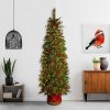 Unidentified Plant Variety * | 6Ft Pre-Lit Slim Colonial Half Artificial Christmas Tree Clear Lights National Tree Company