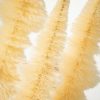 Unidentified Plant Variety * | Sullivans Artificial Finial Bottlebrush Tree Cream 15.5 H Wood Set Of 3