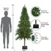 Pine * | Northlight 7 Pre-Lit Alpine Artificial Christmas Tree Clear Lights