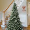 Pine * | National Tree Company Unlit Snowy Oakley Hills Artificial Christmas Tree With Pinecones