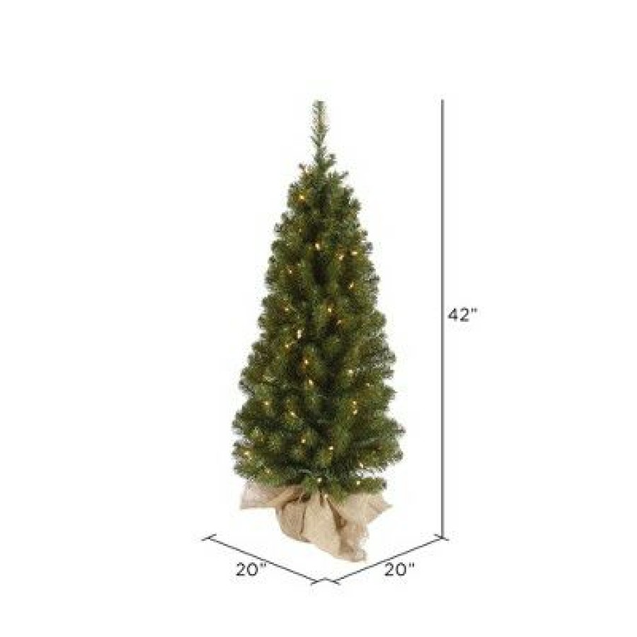 Unidentified Plant Variety * | Vickerman Felton Pine Tabletop Artificial Christmas Tree