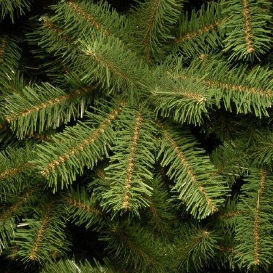 Spruce * | National Tree Company Artificial Giant Christmas Tree, Green, North Valley Spruce, Includes Stand, 10 Feet