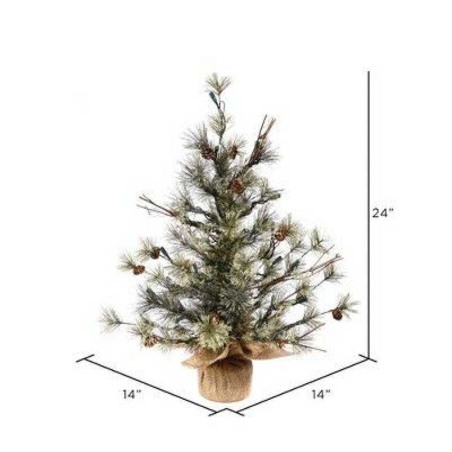 Unidentified Plant Variety * | Vickerman Dakota Pine Artificial Christmas Tabletop Tree