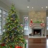 Fir Wood * | National Tree Company 7.5 Ft. Ponderosa Fir Tree With Dual Color Led Lights