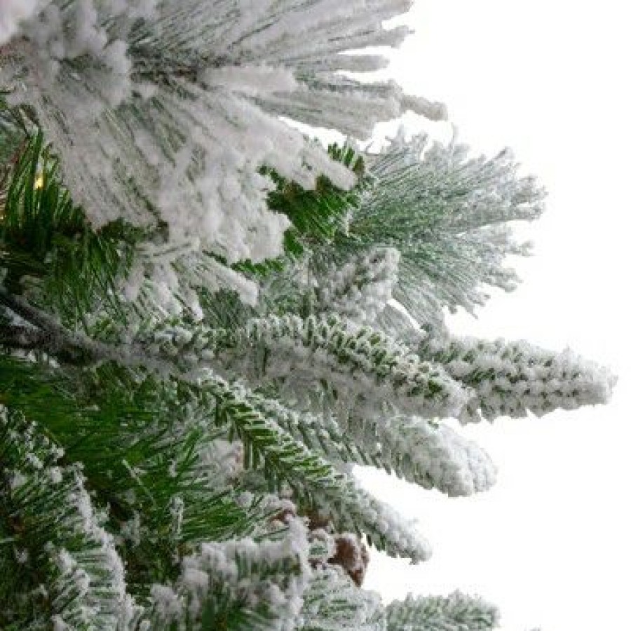 Pine * | Northlight 6.5 Flocked Rosemary Emerald Angel Pine Artificial Christmas Tree Unlit