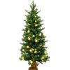 Pine * | Costway 3Ft Pre-Lit Spruce Tabletop Christmas Tree Lights Timer