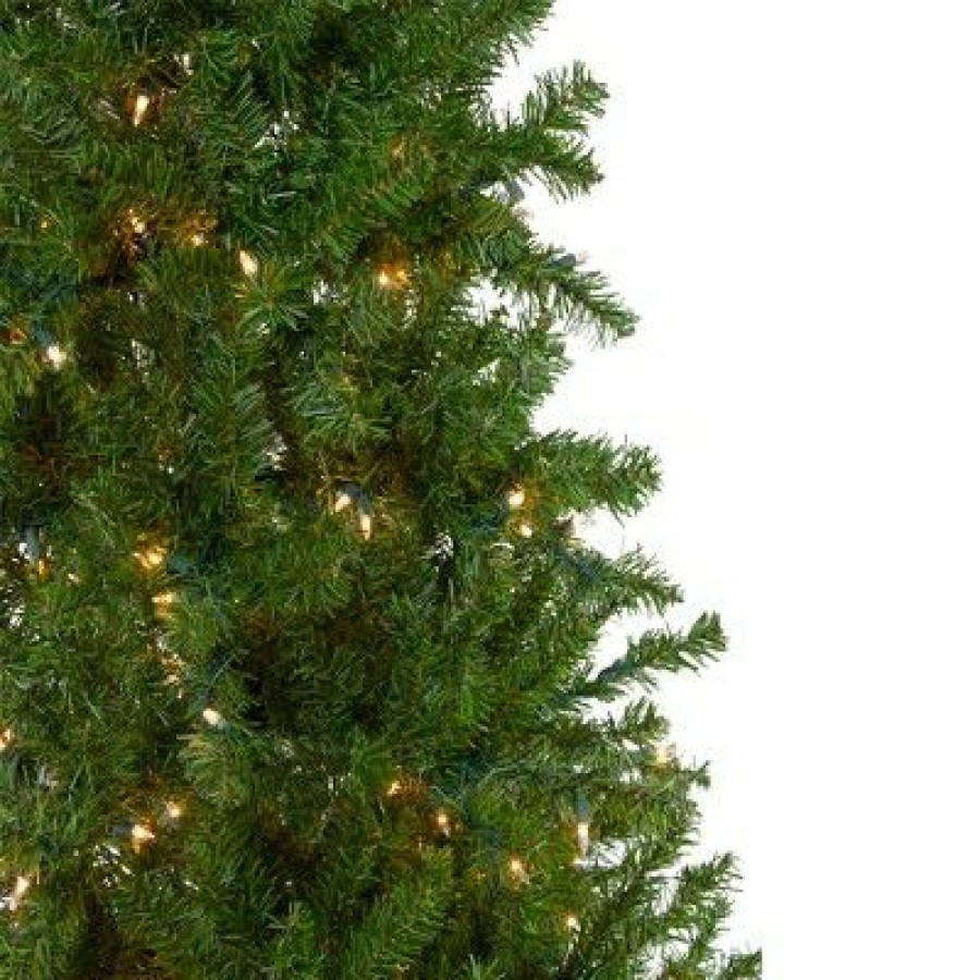 Pine * | Northlight 6.5 Pre-Lit Canadian Pine Artificial Pencil Christmas Tree Clear Lights