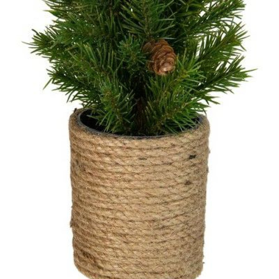 Pine * | Northlight 16.5 Mini Artificial Christmas Tree With Pinecones Unlit