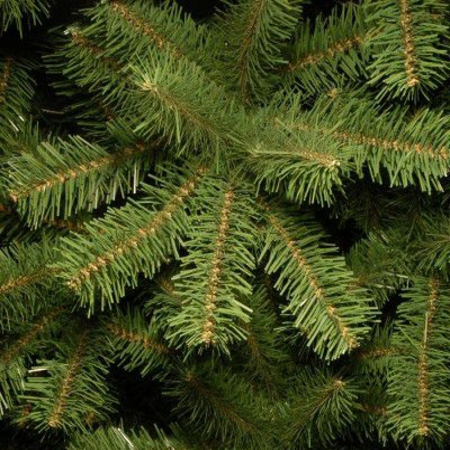 Spruce * | National Tree Company 6Ft National Christmas Tree Company North Valley Spruce Pencil Artificial Christmas Tree