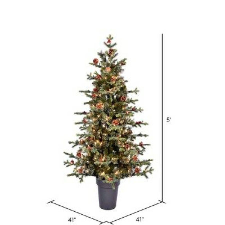 Unidentified Plant Variety * | Vickerman Potted Timberline Pine Artificial Christmas Tree Warm White