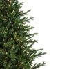 Pine * | Northlight 6 Pre-Lit Potted Deluxe Russian Pine Artificial Christmas Tree, Warm White Led Lights