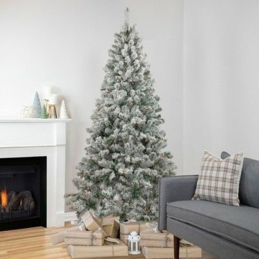 Pine * | Northlight 6.5 Pre-Lit Flocked Madison Pine Artificial Christmas Tree, Multi Lights