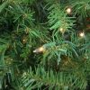 Pine * | Northlight 12 Pre-Lit Northern Pine Full Artificial Christmas Tree, Clear Lights