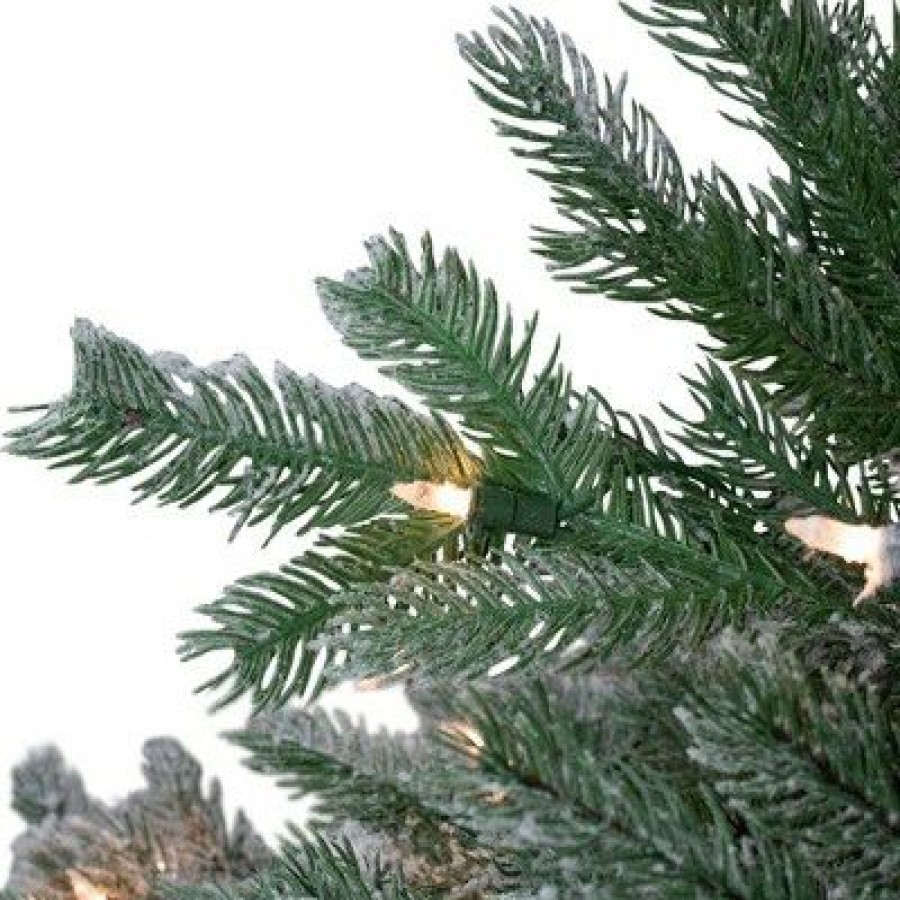 Noble Fir * | Northlight 4.5 Pre-Lit Flocked Whistler Noble Fir Artificial Christmas Tree Clear Lights