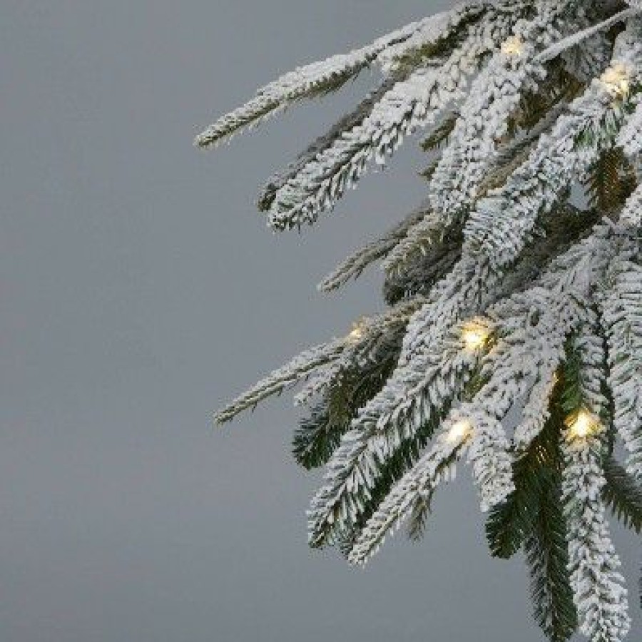 Balsam Fir * | 5' Pre-Lit Led Downswept Flocked Alpine Balsam Artificial Christmas Tree Dewdrop Warm White Lights Wondershop