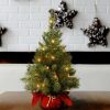 Fir Wood * | National Tree Company 2Ft National Christmas Tree Company Majestic Fir Artificial Christmas Tree 35Ct Clear