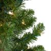 Pine * | Northlight 3 Prelit Artificial Christmas Tree Canadian Pine Clear Lights