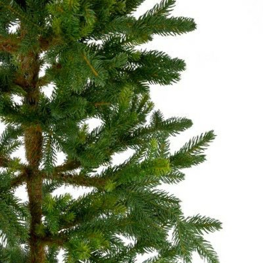 Pine * | Northlight 6 Unlit Artificial Christmas Tree Potted Noble Pine