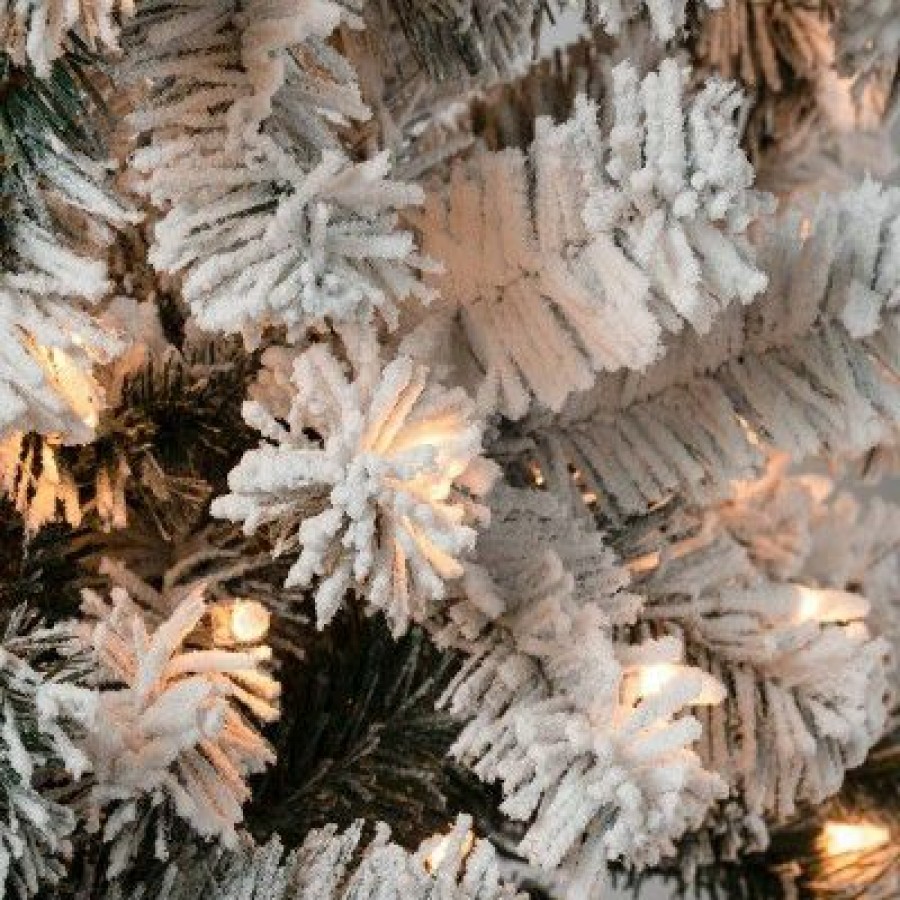 Pine * | National Tree Company 7.5' Pre-Lit Flocked Full Acacia Hinged Artificial Christmas Tree Clear Lights