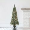 Pine * | Home Heritage Entryway Potted Pine Pvc Pre-Lit Artificial Christmas Tree With Warm White Led Lights And Potted Base