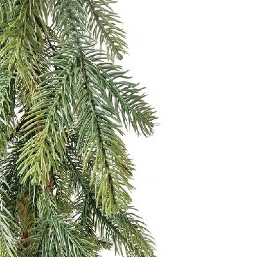 Pine * | Northlight 59 Pine Tree With Jute Base Christmas Decoration