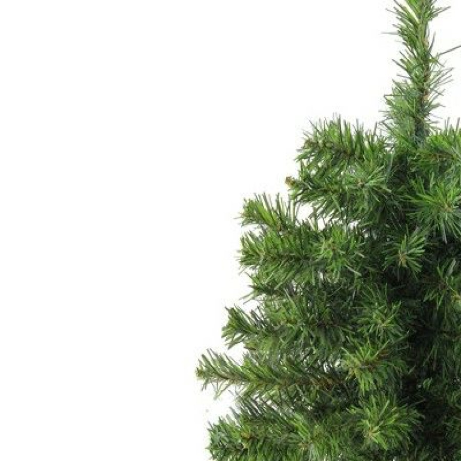 Pine * | Northlight 18 Medium Canadian Pine Artificial Christmas Tree Unlit