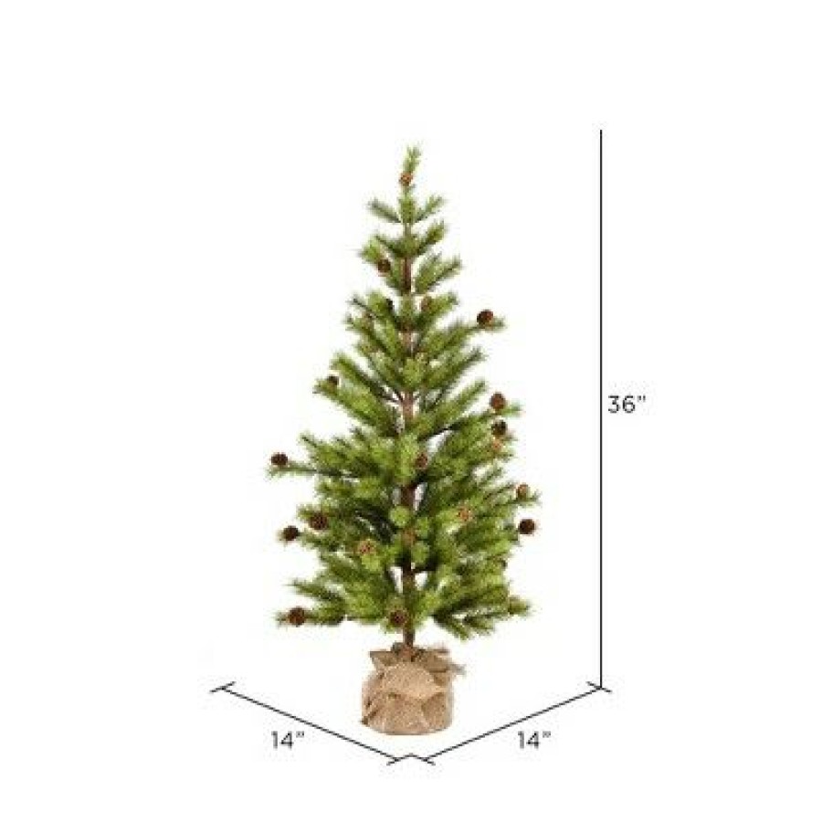 Unidentified Plant Variety * | Vickerman Vernon Pine Artificial Christmas Tree