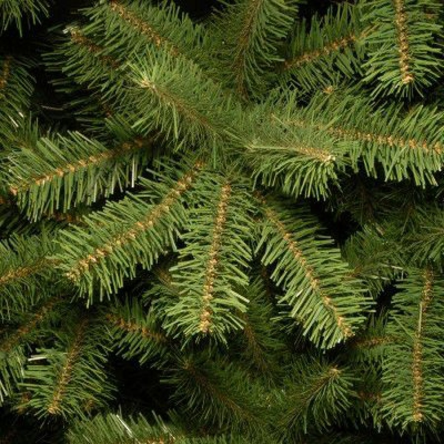 Spruce * | National Tree Company Artificial Giant Christmas Tree, Green, North Valley Spruce, Includes Stand, 12Ft