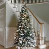 Fir Wood * | National Tree Company 6.5 Ft. Snowy Everest Fir Medium Tree With Clear Lights