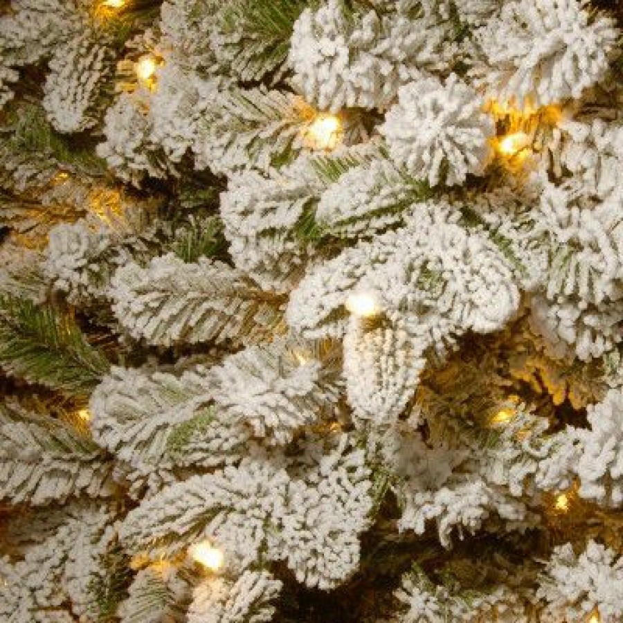 Fir Wood * | National Tree Company 6.5 Ft. Snowy Everest Fir Medium Tree With Clear Lights