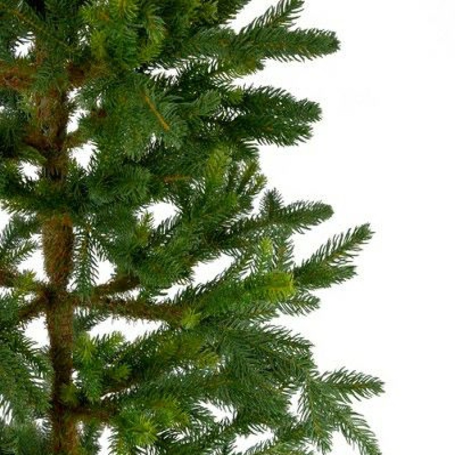 Pine * | Northlight 4 Potted Noble Pine Artificial Christmas Tree Unlit