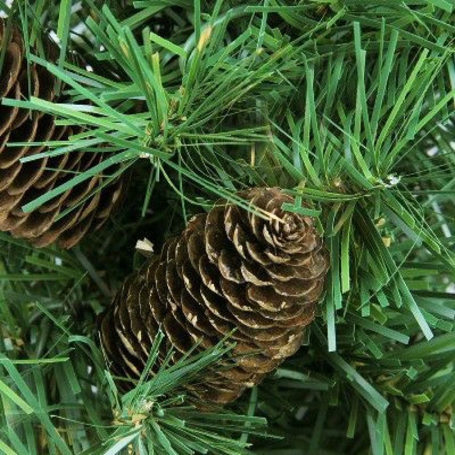 Pine * | Northlight 2 Full Dakota Pine Artificial Christmas Tree, Unlit