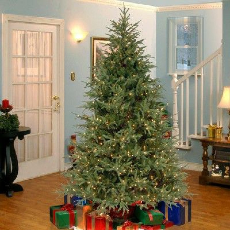 Fir Wood * | National Tree Company Pre-Lit 'Feel Real' Artificial Full Christmas Tree, Green, Frasier Grande, Dual Color Led Lights, Includes Stand, 7 Feet