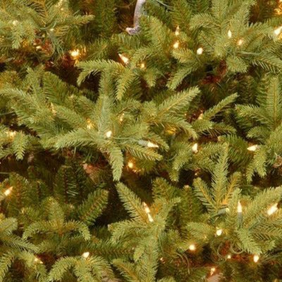 Fir Wood * | National Tree Company Pre-Lit 'Feel Real' Artificial Full Christmas Tree, Green, Frasier Grande, Dual Color Led Lights, Includes Stand, 7 Feet